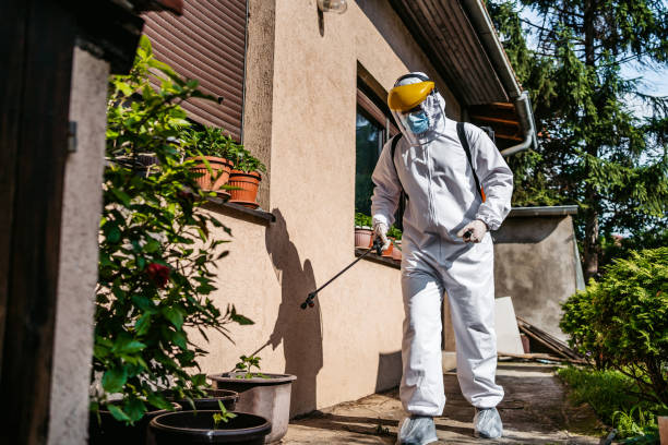 Best Flea Control Services  in Celina, OH