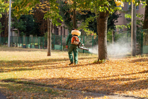 Best Best Pest Control Companies  in Celina, OH