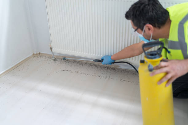 Best Cockroach Control Services  in Celina, OH